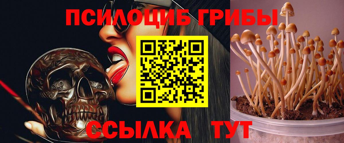 Псилоцибиновые грибы Magic Shrooms  Псилоцибиновые грибы GOLDEN TEACHER  Москва  Вход с VPN 